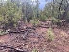 Plot For Sale In Rowe, New Mexico