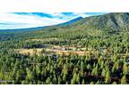 Plot For Sale In Flagstaff, Arizona