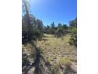 Plot For Sale In Datil, New Mexico