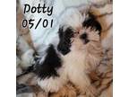 Dotty