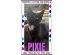 Adopt Pixie - COURTESY LISTING FOR OWNER a Domestic Short Hair