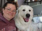 Adopt Pearl a Great Pyrenees
