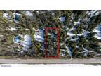 Half Acres Lot in the heart of Priest Lake