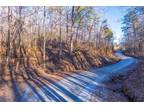Tryon, Polk County, NC Undeveloped Land for sale Property ID: 418867963