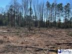 Timmonsville, Florence County, SC Homesites for sale Property ID: 418799015