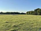 Elkmont, Limestone County, AL Undeveloped Land for sale Property ID: 418697601