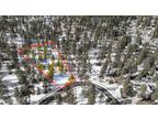 Plot For Sale In Flagstaff, Arizona