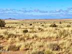 Plot For Sale In Snowflake, Arizona