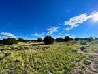 Plot For Sale In Saint Johns, Arizona