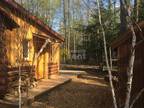 Fife Lake 1 bedroom newly remodeled cabin