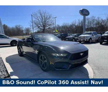 2024 Ford Mustang EcoBoost Premium is a Grey 2024 Ford Mustang EcoBoost Premium Convertible in Haverhill MA