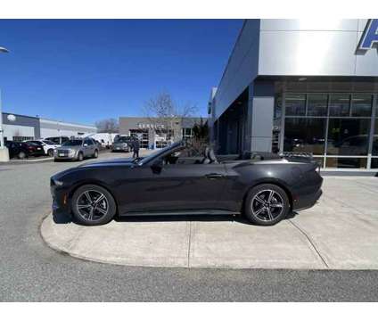 2024 Ford Mustang EcoBoost Premium is a Grey 2024 Ford Mustang EcoBoost Premium Convertible in Haverhill MA