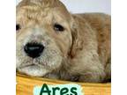 Ares