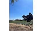 Plot For Sale In Chino, California