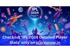 IPL 2024 Detailed Player Stats
