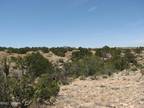 Plot For Sale In Heber, Arizona