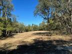 Archer, Levy County, FL Undeveloped Land, Homesites for sale Property ID: