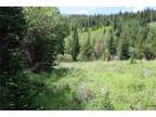 9423 Stewart Gulch Rd Lot 9423 Black Hawk, CO