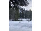 Plot For Sale In Lowman, Idaho