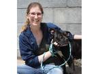 Adopt Zuri a Pit Bull Terrier