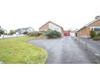 Dromore Road, Ballynahinch BT24, 3 bedroom detached bungalow for sale - 66519975