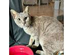 Adopt Recycling Center a Manx