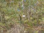 Plot For Sale In Ponce De Leon, Florida