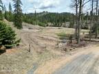 Plot For Sale In Hayden, Idaho