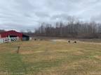 Property For Sale In Wales Township, Michigan