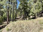 Plot For Sale In Prescott, Arizona