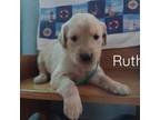 Ruth