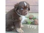 Troy