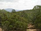 Plot For Sale In Sandia Park, New Mexico