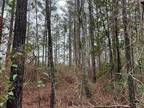 Plot For Sale In Bogue Chitto, Mississippi
