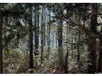 Plot For Sale In Georgetown, South Carolina