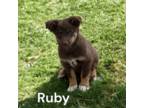 Ruby