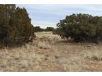 Plot For Sale In Heber, Arizona