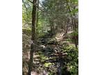 Property For Sale In Roscoe, New York