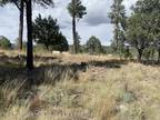 Plot For Sale In Ruidoso, New Mexico