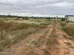 Plot For Sale In Chaparral, New Mexico