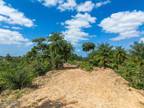 Plot For Sale In Morovis, Puerto Rico
