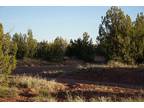 77 Acres Woodland Valley Rnch Saint Johns, AZ