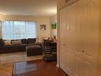 Condo For Rent In Morris Twp, New Jersey