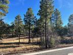 Plot For Sale In Show Low, Arizona