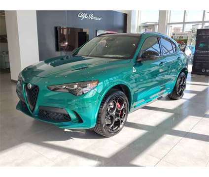 2024 Alfa Romeo Stelvio Quadrifoglio is a 2024 Alfa Romeo Stelvio Quadrifoglio SUV in Pinellas Park FL