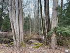 Plot For Sale In Blossvale, New York