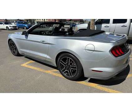 2019 Ford Mustang for sale is a 2019 Ford Mustang Car for Sale in Glendale AZ