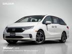 2024 Honda Odyssey Silver|White, new