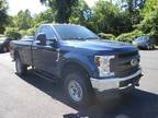 Used 2019 Ford Super Duty F-250 SRW for sale.