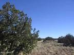 Plot For Sale In Heber, Arizona